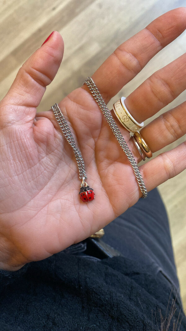Collana Coccinella argentata
